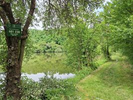 Malý rybník Únětice označení 20.6.24 (1).jpg